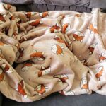 Gray Fox Blanket Snuggles